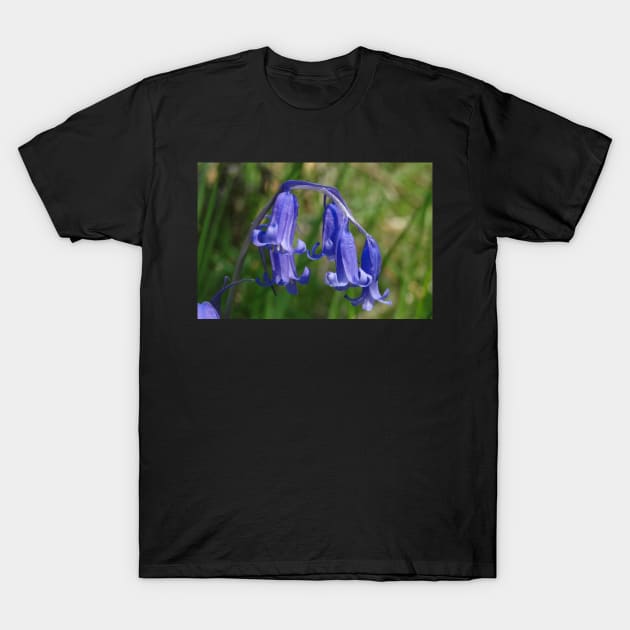 Bluebell in the shade T-Shirt by AH64D